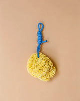 Mediterranean natural sponge - Suite 702 - various colors
