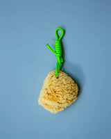 Mediterranean natural sponge - Suite 702 - various colors