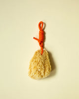 Mediterranean natural sponge - Suite 702 - various colors