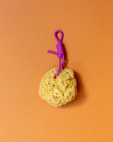 Mediterranean natural sponge - Suite 702 - various colors